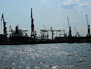 cranes, cranes and cranes - Hamburg port
