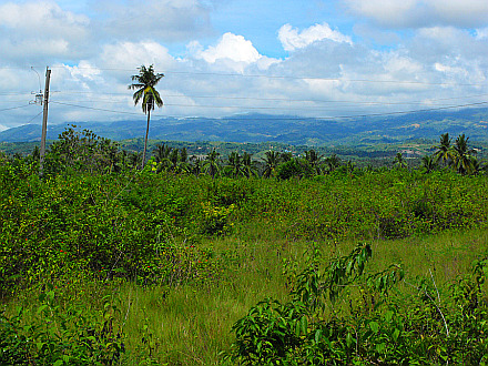landscape on the Cebu Island