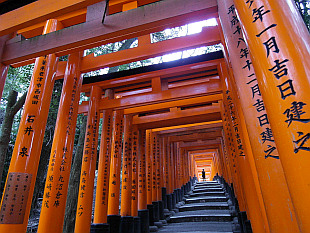 Fushimi Inari Taisha shrine gates I