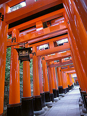 Fushimi Inari Taisha shrine gates I