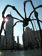 spider or alien and Torre Latinoamericana