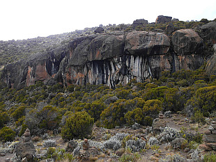 Zebra Rocks (4030m) above Horombo Hut