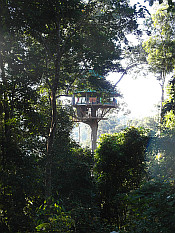 one of the treehouses
