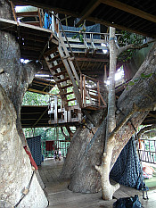 treehouse construction
