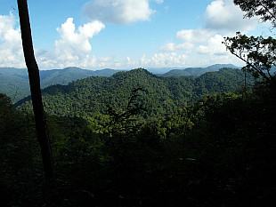 Nam Kan National Park