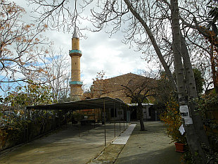 mosque behind trees