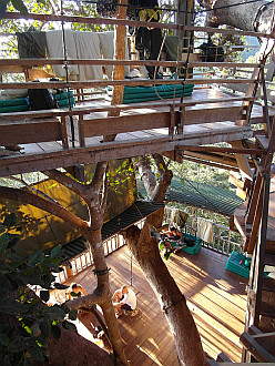 the treehouse!