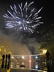 New Year 2011 celebrations